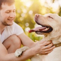 愛犬が飼い主に伝えたい『ありがとうの気持ち』4選　感謝の気持ちを表す仕草や行動とは？