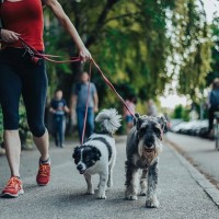 犬のことが最優先になると陥りやすい5つのこと　愛犬や周りの迷惑になりかねないNG行為とは