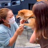 1年半ぶりに『生まれ故郷』に帰った結果、犬が…育ての親との再会で見せた『涙腺崩壊する光景』が182万再生「ちゃんと覚えてる」「泣いた」