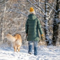 冬の犬の散歩ですべき防寒対策３つ　 寒さが苦手な犬種もいる？工夫できるポイントをご紹介