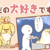 ただの犬好きです。【第289話】「思い出」