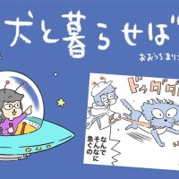 犬と暮らせば【第466話】「早いもの勝ち？」