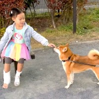 5歳の女の子が足をケガしたら、一緒に遊んでた犬が…心配で見せた『尊すぎる光景』が5万再生「絆すごい」「本当の姉妹みたい」「ホッコリした」