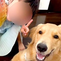 『9歳の女の子と1歳11か月の大型犬』の成長記録…ふたりで一緒に過ごした『かけがえのない毎日』が泣けると11万再生「特別な関係」「素敵」