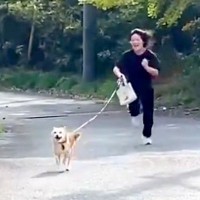 姉と犬の散歩を撮影してみた結果…体力が無尽蔵すぎる『衝撃の散歩の仕方』が193万再生「柴犬追い越す人初めて見たｗ」「無限のスタミナ」