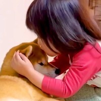 小さな女の子が犬に『おやすみのハグとキス』をした結果…あまりにも正直な『まさかの感想』が酷すぎると13万再生「口拭くの草」「顔ｗｗ」