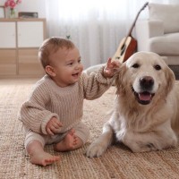 犬は『人間の赤ちゃん』にどんな感情を抱く？　愛犬のことがより愛おしくなる心理とは