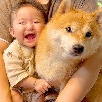 犬が『抱っこして』とお願いしてきたので抱えたら、一緒にいた赤ちゃんが…大好きが止まらない『熱烈すぎる愛情表現』に39万再生の大反響