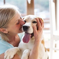 犬が飼い主を『心配している』サイン５選　愛犬は人の感情がわかるの？愛おしすぎる仕草とは