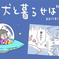 犬と暮らせば【第467話】「ただカワイイを言いたいだけの私」