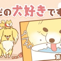 ただの犬好きです。【第290話】「たまについてるアレ」