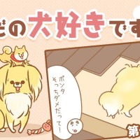 ただの犬好きです。【第291話】「忘れちゃう」