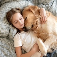 犬が『飼い主の顔面付近で眠る』理由4選　そのままにしておいて大丈夫？意外な心理とは