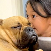 娘が犬を好きになりすぎた結果…思った以上に変態な『愛情表現』が96万再生「犬吸いがプロレベルｗ」「気持ちめっちゃわかる」爆笑と共感の声