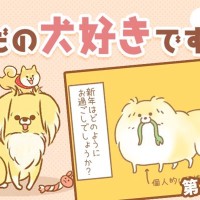 ただの犬好きです。【第293話】「新年」