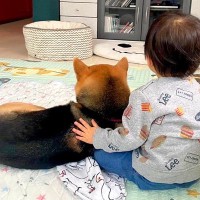 『小さな男の子と犬を叱った』結果…思わず許したくなる『まさかの光景』が526万表示「仲間感がすごいｗ」「後ろ姿が可愛すぎる」と大絶賛