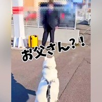 お父さんが出張で遠方へ…犬が見せた『切ない行動』と『帰宅時の様子』が素敵すぎると7万再生「愛おしすぎて涙がこぼれる」「まさかのお土産ｗ」