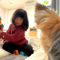 4歳の女の子が『おもちゃの使い方』を犬に説明→ようやく終わったと思ったら…まさかの展開に爆笑の声「表情がｗ」「付き合って偉い」と絶賛