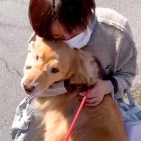 母が急遽手術→退院後、1週間ぶりに犬と会ったら…涙腺崩壊する『再会の瞬間』が106万再生「強い絆を感じる」「相思相愛すぎて泣いた」と絶賛