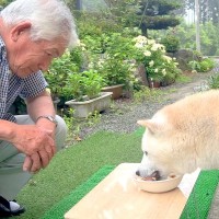 おじいちゃんが『犬を孫のように可愛がった』結果…時間が止まってほしいほど『優しくて尊い光景』が27万再生「やり取り最高」「愛を感じる」