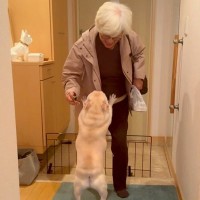 おばあちゃんと犬が『感動の再会を果たした』と思っていたら…まさかの『大袈裟すぎる事実』が54万再生「感激してて草」「可愛すぎる」と悶絶