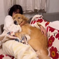 女の子が寝ようとしていたら、ここぞとばかりに大型犬が…甘えん坊さんすぎる『愛情表現』が170万再生「抱き枕うらやましい」「でも重そうｗ」