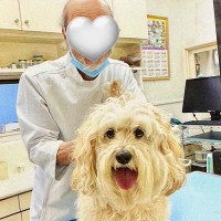 子犬の頃から通っている動物病院が閉院…おじいちゃん獣医師との『最後の診察』が泣けると5万いいね「素敵」「長い間おつかれさまでした」と感動