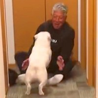 パパの帰宅に気づいた犬→なぜか『反対方向』に猛ダッシュして…全力すぎる『超熱烈歓迎』が20万再生「最高すぎ」「目頭が熱くなる」と絶賛