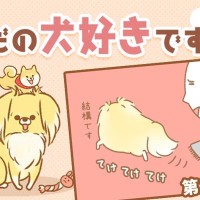 ただの犬好きです。【第296話】「何が違うの？」