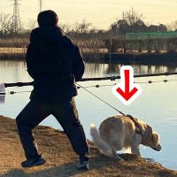 水辺を大型犬と散歩していたら…想定外すぎる『わんぱくな行動』に大焦りする光景が140万表示「お互い必死で草」「やるぜって使命感ｗ」と爆笑