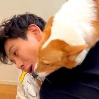 出張から帰ってきたら、家にいた犬が…想像以上に激しすぎる『お出迎えの仕方』が56万再生「まさに熱烈歓迎」「愛が凄いｗ」と爆笑の嵐