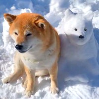 『犬の雪だるま』を作ってみた→隣に本物の犬が並ぶと…まるで『新しいお友達ができたような光景』に3万いいね「力作！」「可愛すぎる」と絶賛