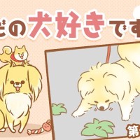 ただの犬好きです。【第297話】「しまった！」