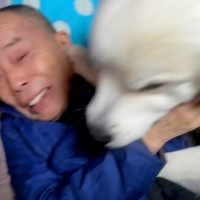 8ヶ月ぶりに『おじいちゃんとの再会を果たしたら』超大型犬が…愛おしすぎる『大喜びする光景』が17万再生「思ったより大興奮ｗ」「可愛すぎ」