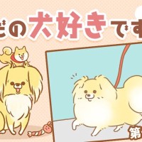 ただの犬好きです。【第298話】「くん活とは」