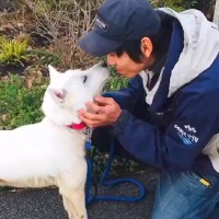 保護施設から『体の弱い犬』を引き取った結果…6年間の軌跡と、まるで別犬な『現在の光景』に涙「違う犬かと…」「笑顔が泣ける」と15万再生