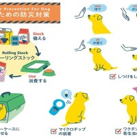愛犬の命を守るための『災害への備え』5つ　準備しておくべき災害グッズから避難するときの注意点まで