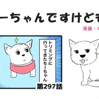 ちーちゃんですけどもっ【第297話】「いてくれるだけで幸せ」