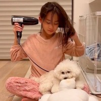 女の子がドライヤーで髪を乾かそうとすると、犬が近づいてきて…可愛すぎる『特等席につく光景』が178万再生「たまらん」「か、可愛すぎる」