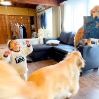小さな男の子と大型犬が『1ヶ月ぶりにおばあちゃんと会った』結果…それぞれが見せた『喜びの舞』が可愛すぎると13万再生「語彙力失う」と悶絶