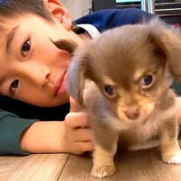 『犬を飼ったことがない家族』が不安を抱えながら赤ちゃんワンコを迎えたら、1年後…素敵すぎる『365日の軌跡』が16万再生「愛溢れてる」「涙出た」