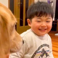 男の子が『大型犬と遊んでる』と思ったら→ケンカが始まり…思った以上に『カオスな光景』が和むと16万再生「大盛り上がりで草」「楽しいねｗ」