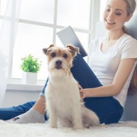 犬が『飼い主の目の前で座る』理由6選　何か言いたいの？状況別の心理とは？