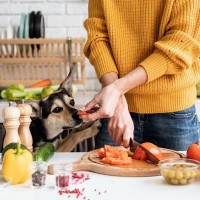 犬に野菜を食べさせるときの『絶対NG行為』5選　体調不良を引き起こす危険な与え方とは
