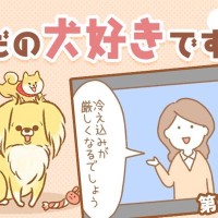 ただの犬好きです。【第302話】「良いなと思ったこと」