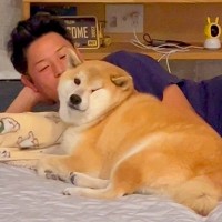 パパとママへの『犬の態度の違い』を比較してみたら…180度違う『思った以上の差』が299万再生「別の犬みたいで草」「見事な塩対応ｗｗ」