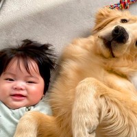 大型犬が生後11ヵ月になったら…まだまだやんちゃな一面と成長が感じられる姿が話題に「元気いっぱいでかわいい」「とってもお利口さん」