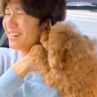 退院してきたお兄ちゃんと犬が再会…思った以上に『喜びを大爆発させる光景』が3万再生「大喜びしてる姿が泣ける」「素敵な家族」と感動の声