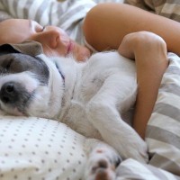 犬にとって過保護すぎる『飼い主のNG行為』5選　溺愛しすぎると起こる愛犬への悪影響とは？