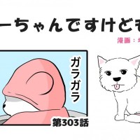 ちーちゃんですけどもっ【第303話】「小人かな？」